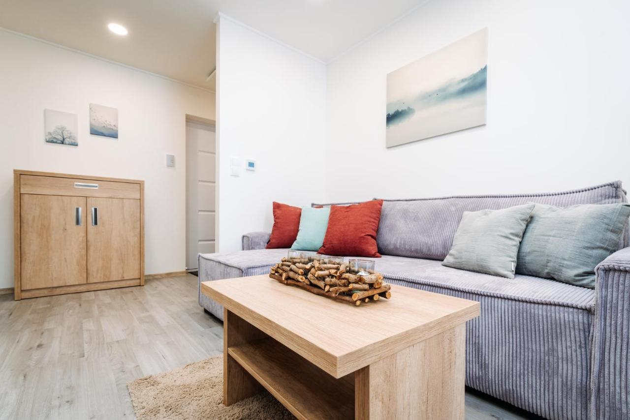 Apartment Hugo Klinovec Лоучна-под-Клиновцем Экстерьер фото