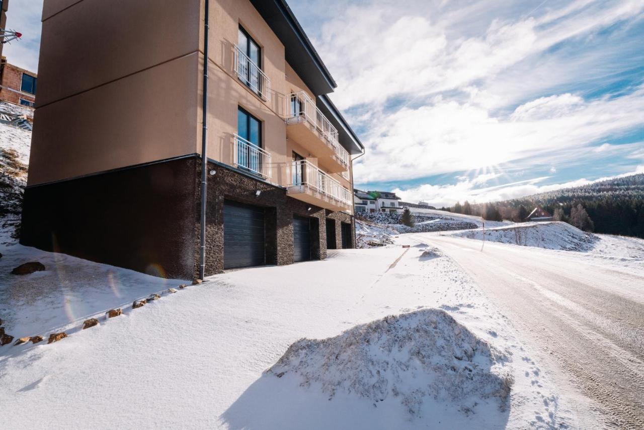 Apartment Hugo Klinovec Лоучна-под-Клиновцем Экстерьер фото